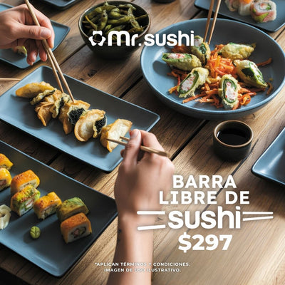 Mr. Sushi
